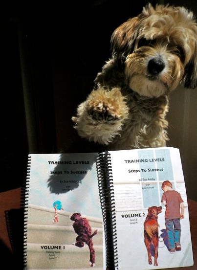 Training Levels Lola